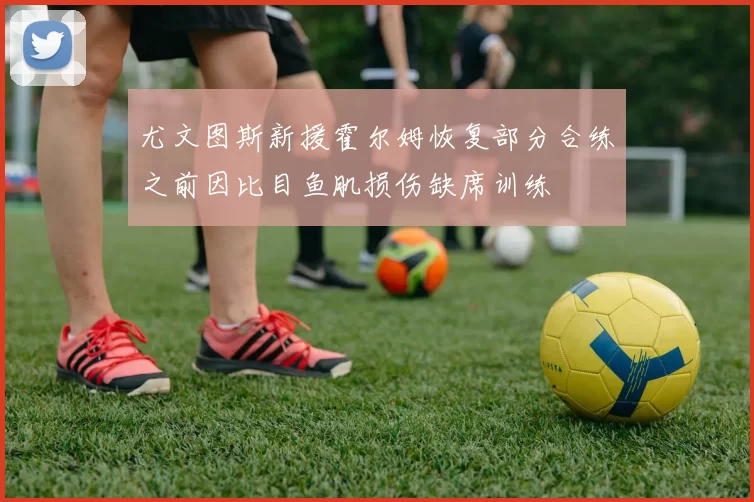 尤文图斯新援霍尔姆恢复部分合练之前因比目鱼肌损伤缺席训练